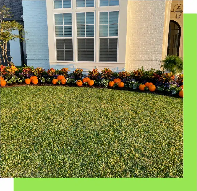 All Seasons Landscaping & Lawn Care- Baton Rouge photo 2