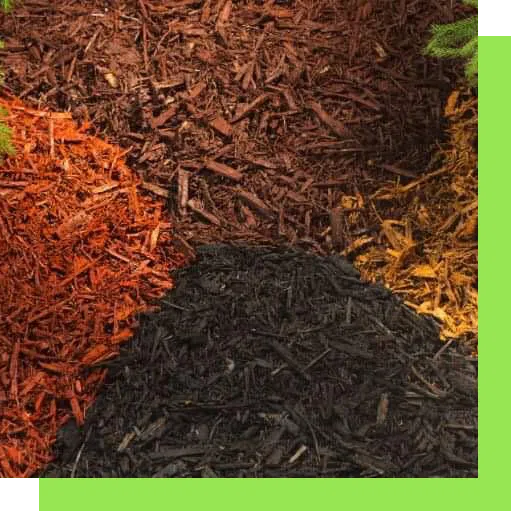 All Seasons Landscaping & Lawn Care- Baton Rouge photo 3