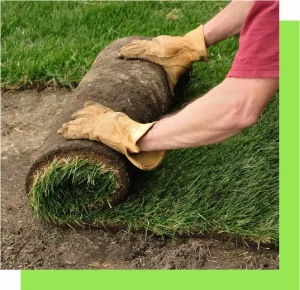 Sod-Installation