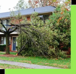 Storm-Cleanup-